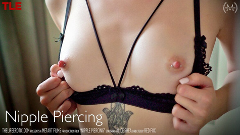 Alice Shea in Nipple Piercing