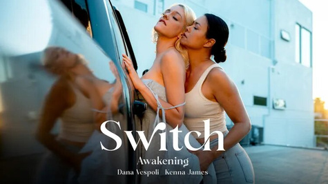 Switch: Awakening
